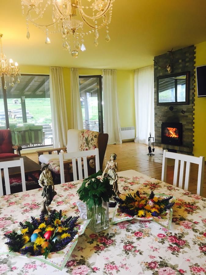 Гостевой дом Zlatina Guest House Lŭga-17