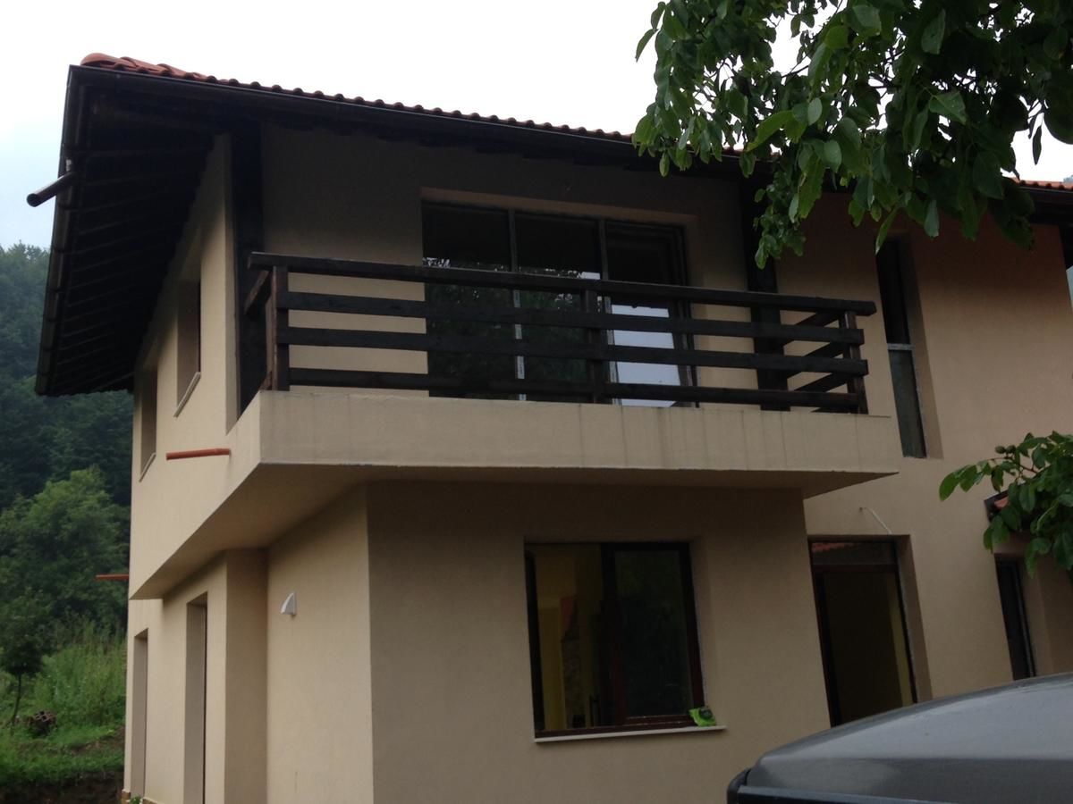 Гостевой дом Zlatina Guest House Lŭga-34