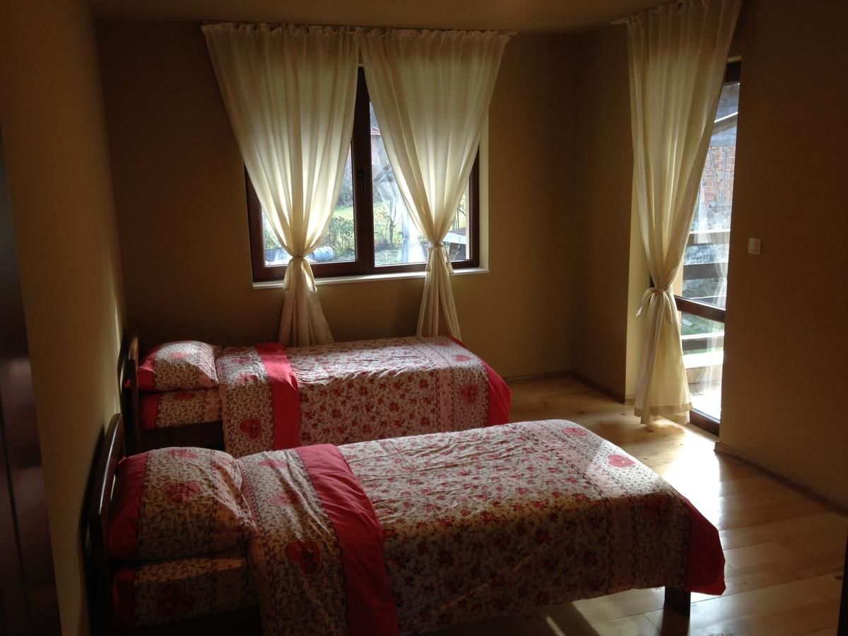 Гостевой дом Zlatina Guest House Lŭga-35