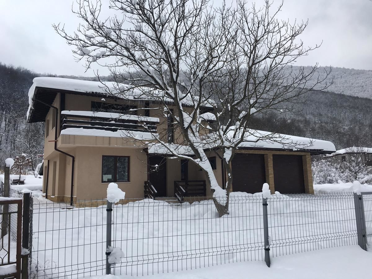 Гостевой дом Zlatina Guest House Lŭga-41