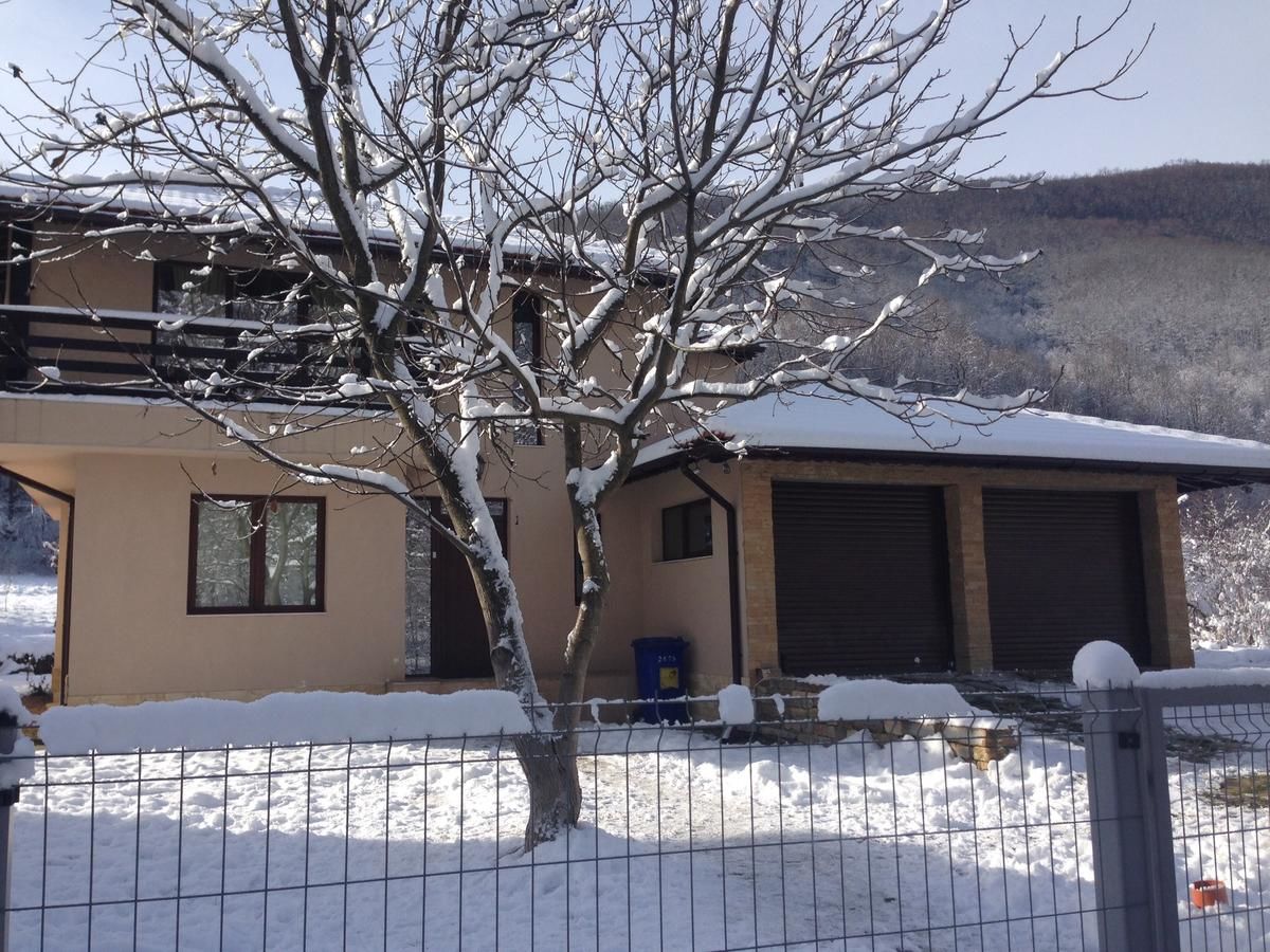 Гостевой дом Zlatina Guest House Lŭga-7
