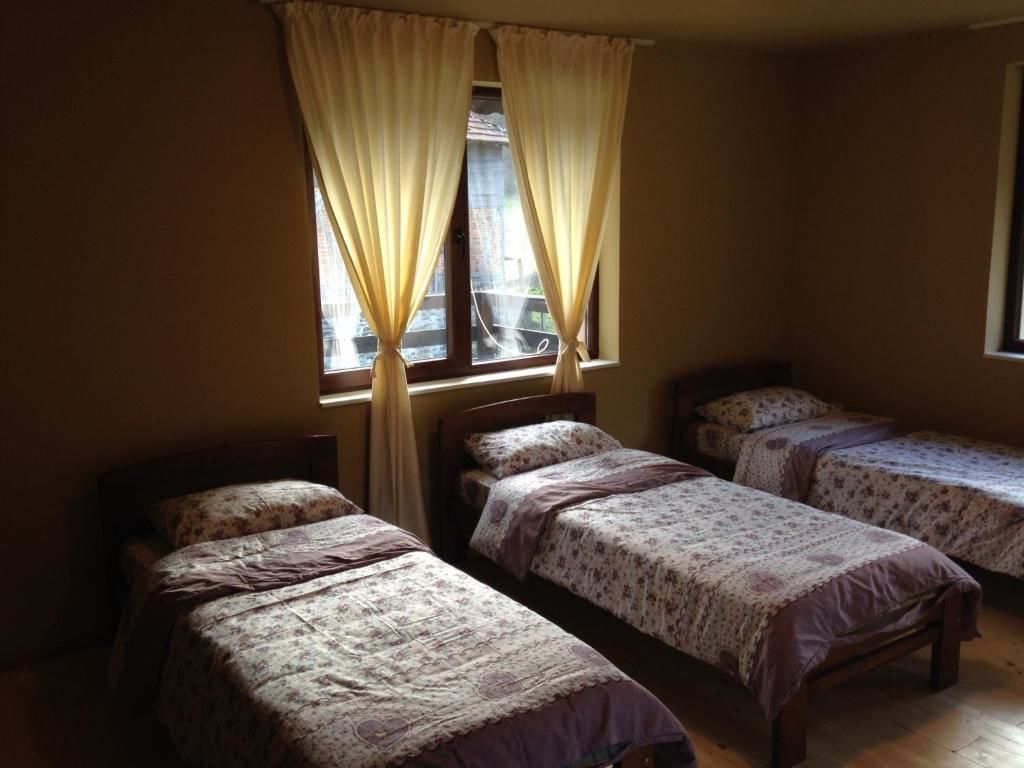 Гостевой дом Zlatina Guest House Lŭga-51
